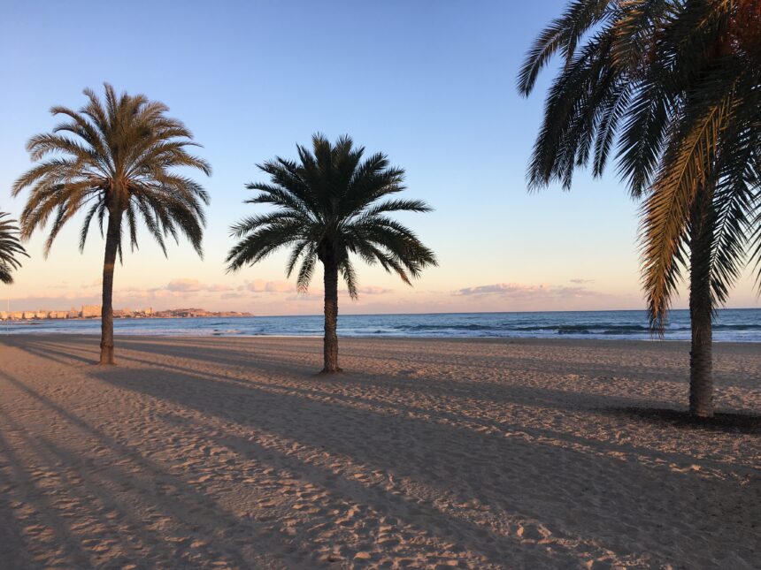 Strand med palmer i solnedgång. Semesterställe att använda skönhetsprodukter ur By Lyko Lovables Poolside Vibe summer edition 2023.